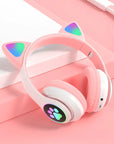 Cat Ear Headphones