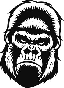Muscle Car Decals