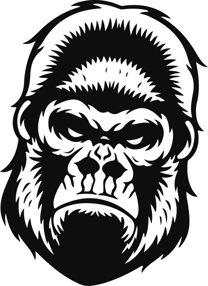 Muscle Car Decals