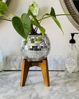 Self Watering Disco Ball Hanging Planter