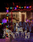 Christmas Iron Deer LED Light