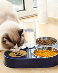 Cat food dispenser